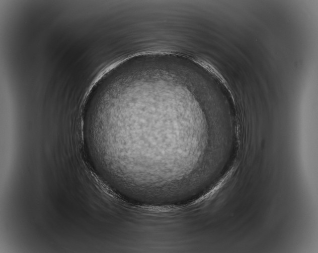 X0000082990781200703020843