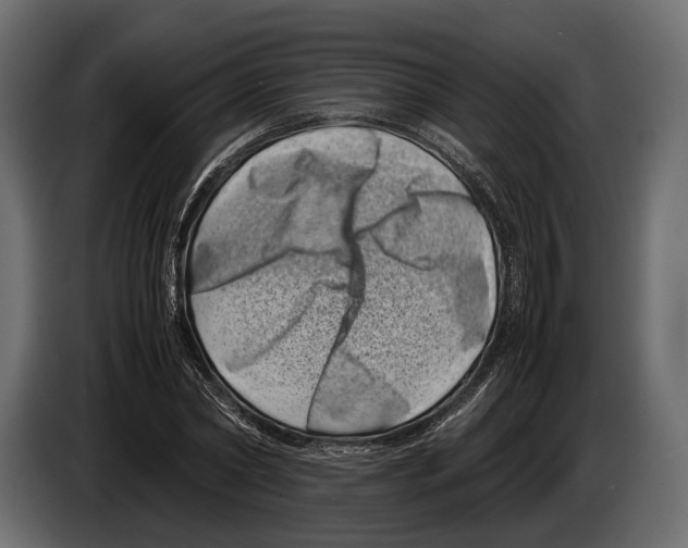 X0000082990782200703020843