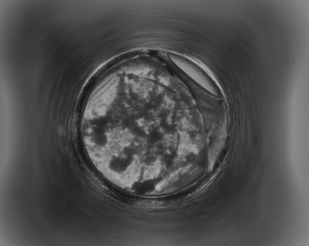 X0000082990783200703020843