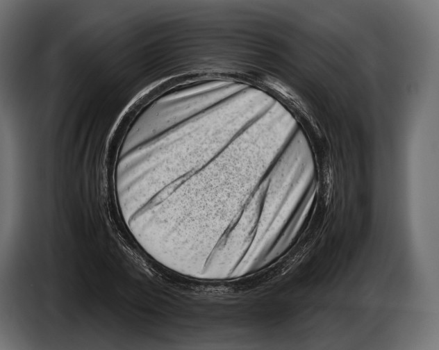 X0000082990784200703020843