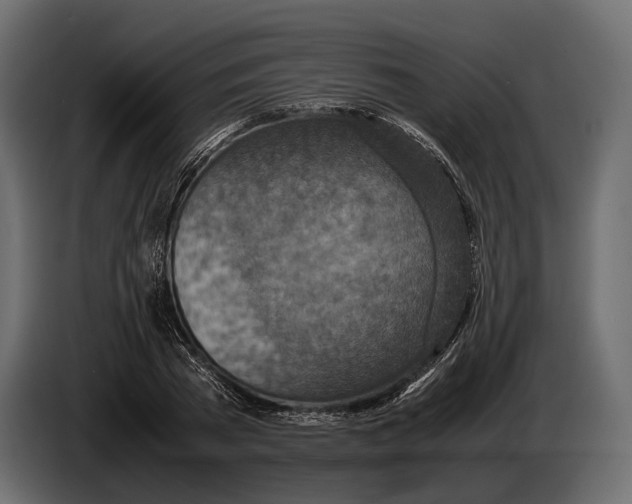 X0000082990785200703020843