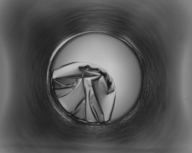 X0000082990788200703020843