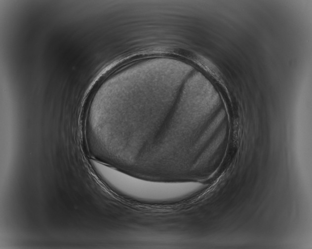 X0000082990789200703020843