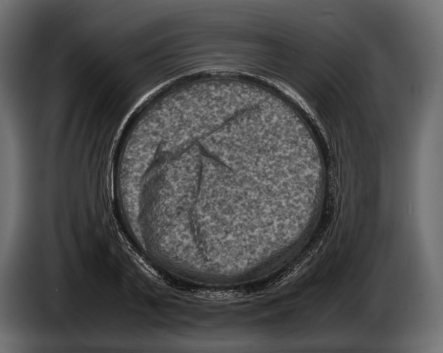 X0000082990791200703020843