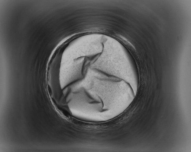 X0000082990792200703020843