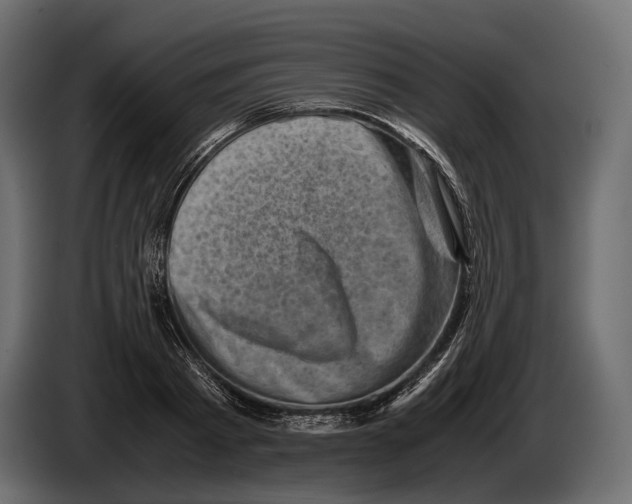 X0000082990793200703020843