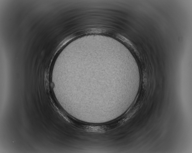 X0000082990794200703020843