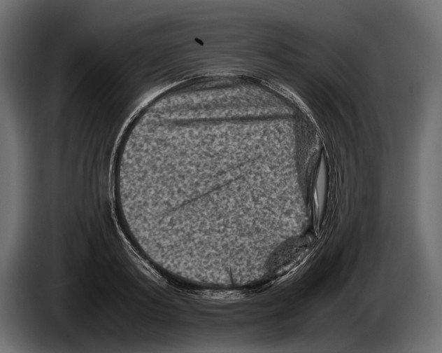 X0000082990795200703020843