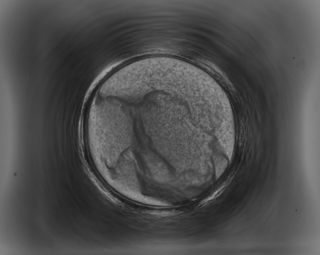 X0000082990796200703020843