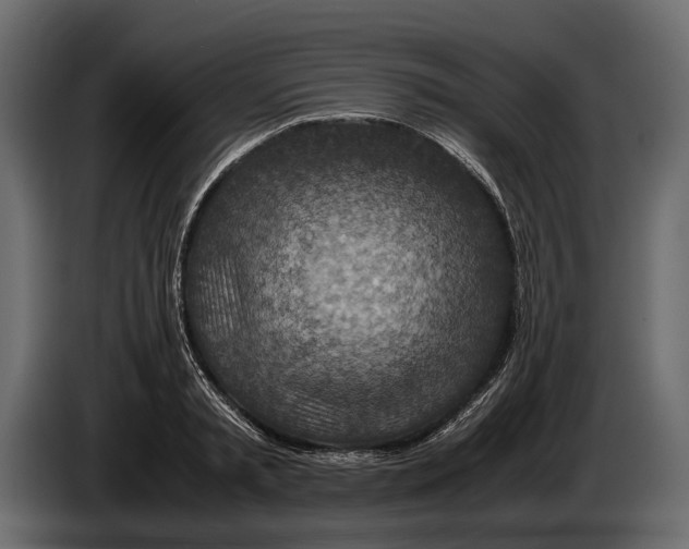 X0000082990797200703020843