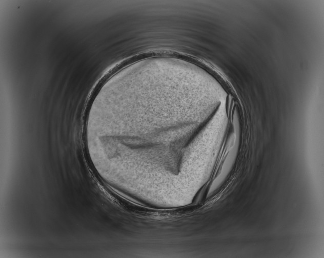 X0000082990799200703020843