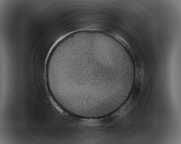 X0000082990800200703020843