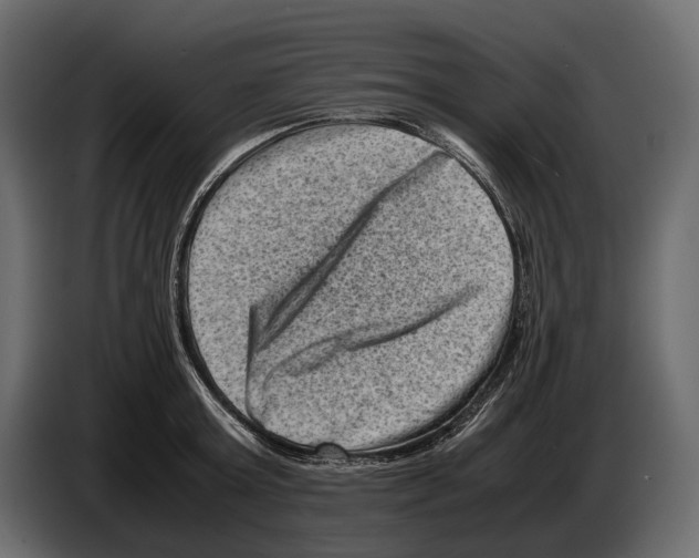 X0000082990803200703020843