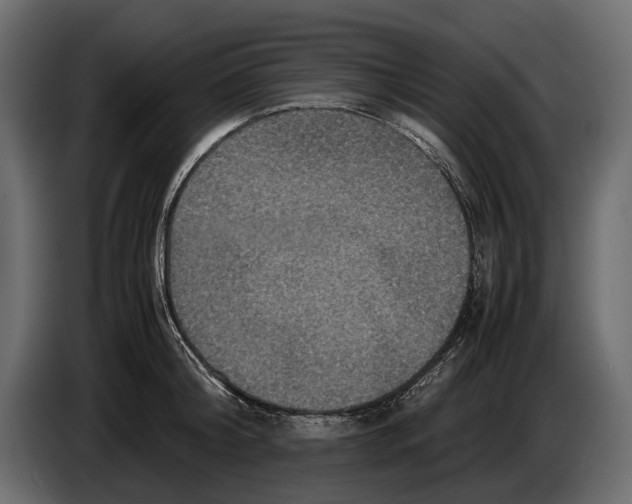 X0000082990804200703020843