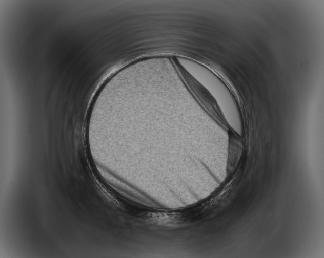 X0000082990805200703020843