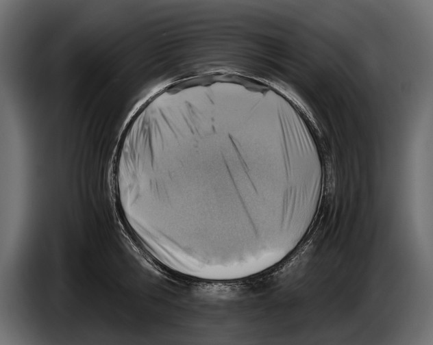 X0000082990806200703020843