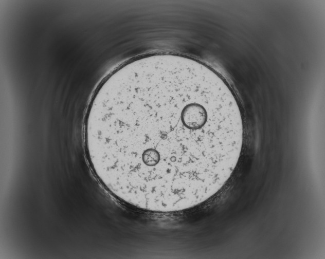 X0000082990807200703020843