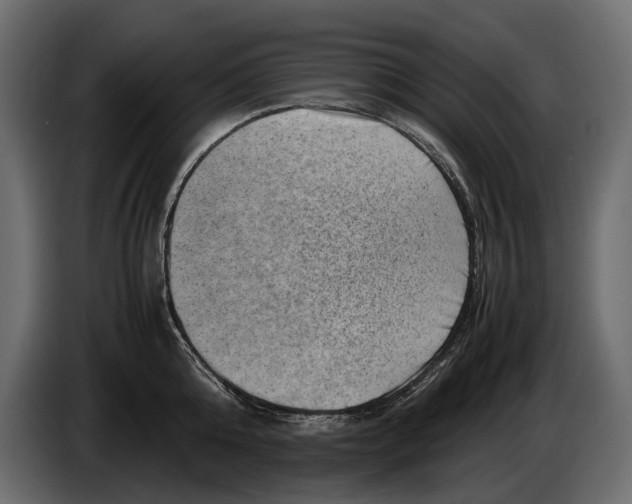 X0000082990808200703020843