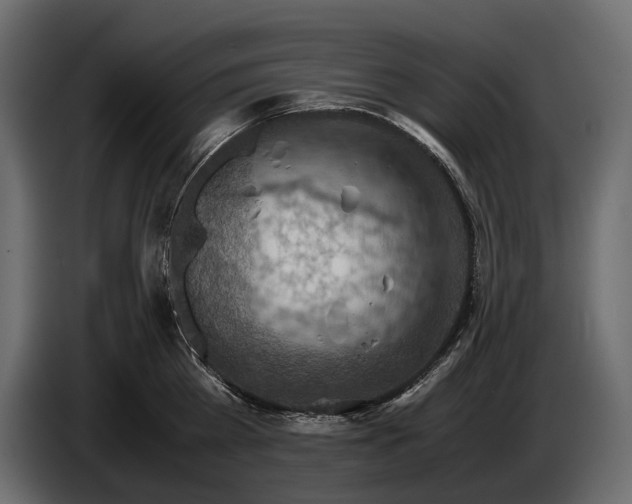 X0000082990809200703020843