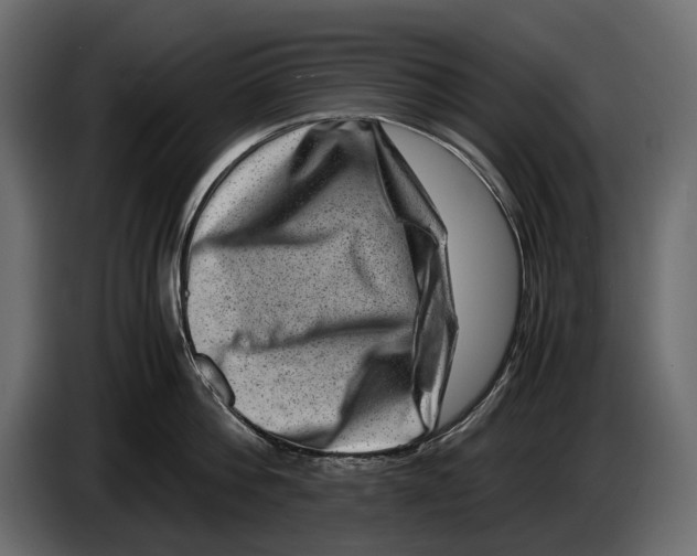 X0000082990812200703020843