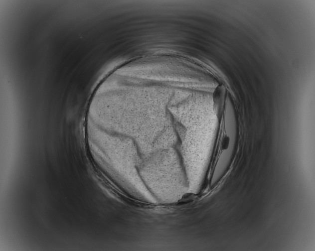 X0000082990814200703020843