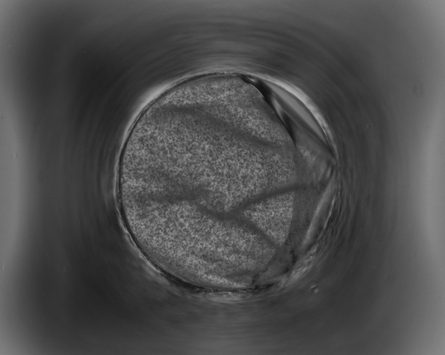 X0000082990815200703020843