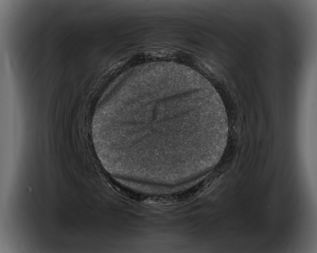 X0000082990817200703020842