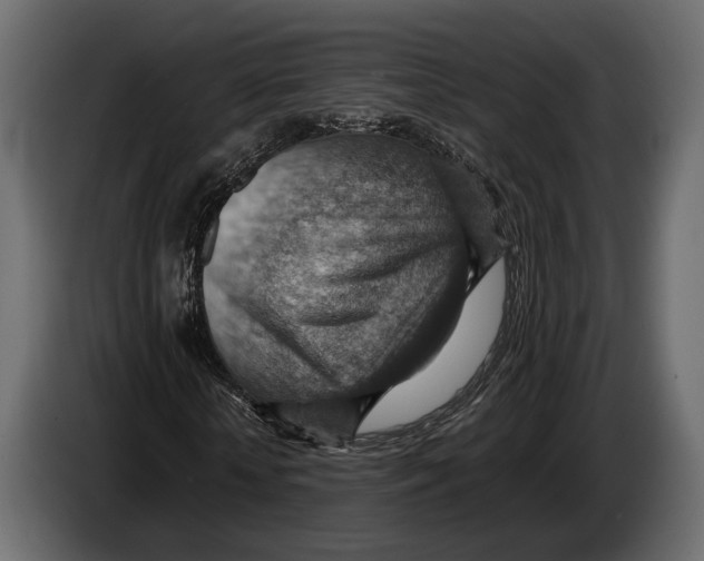 X0000082990818200703020842