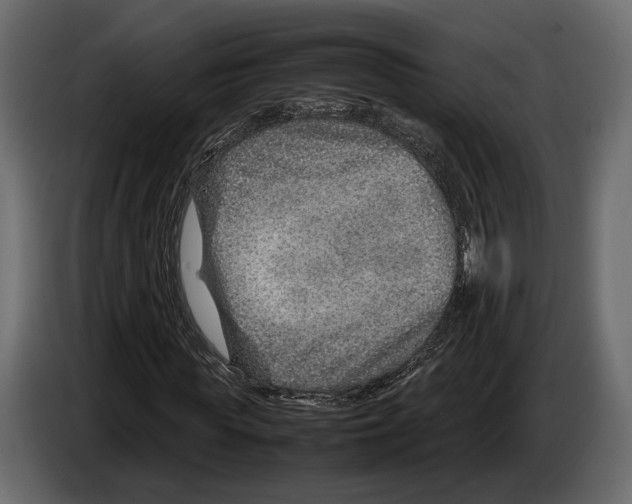 X0000082990819200703020842