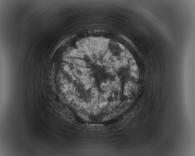 X0000082990823200703020842