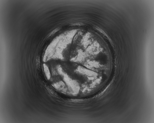 X0000082990825200703020842