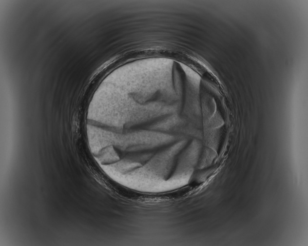 X0000082990826200703020842