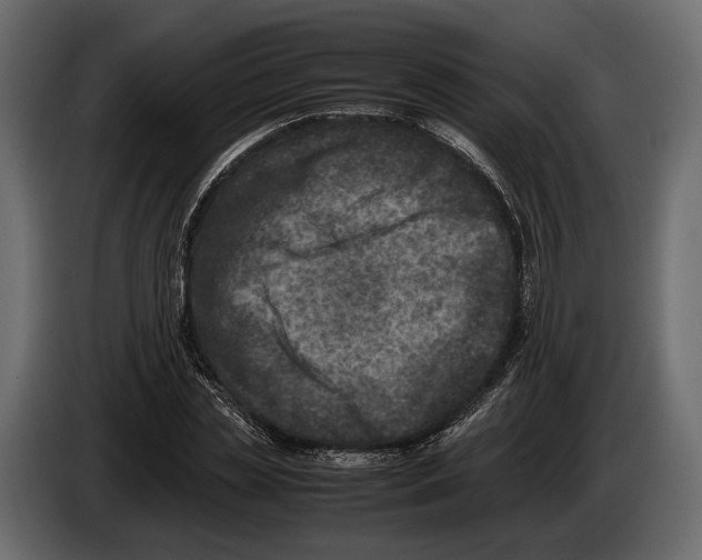 X0000082990829200703020842