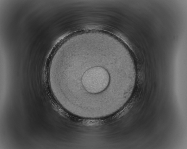 X0000082990832200703020842