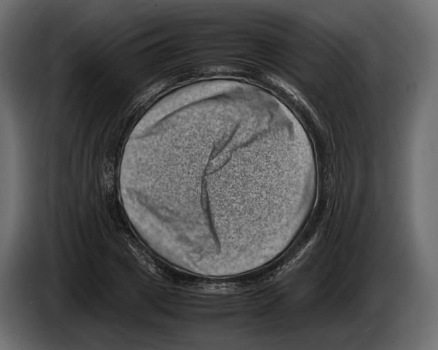 X0000082990833200703020842