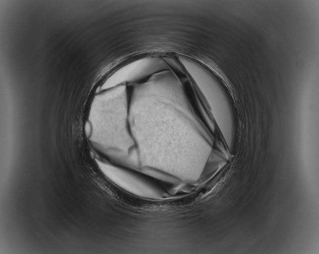 X0000082990834200703020842