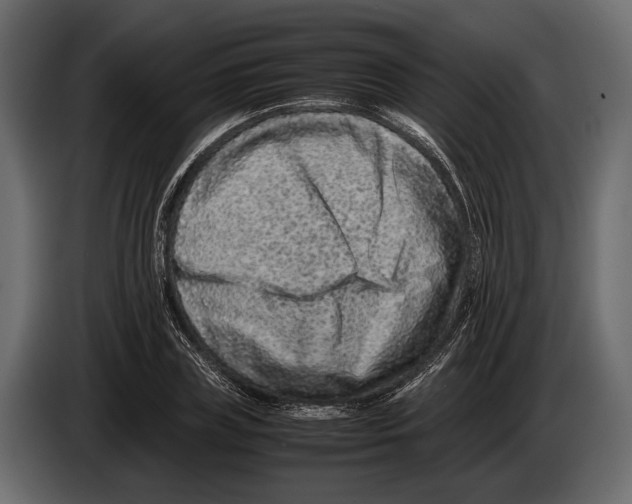 X0000082990835200703020842