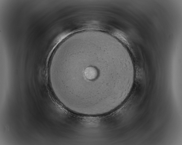 X0000082990836200703020842