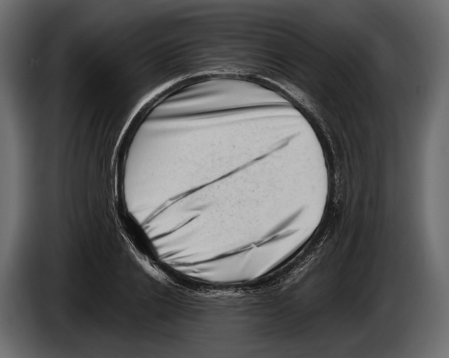 X0000082990838200703020843