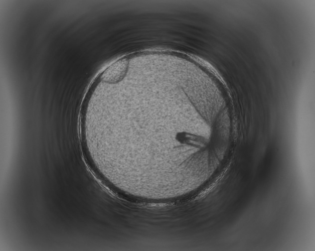 X0000082990839200703020843