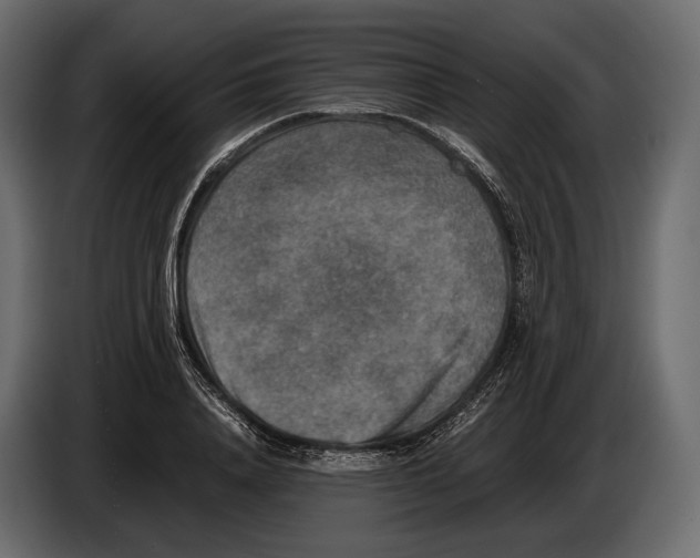 X0000082990840200703020843