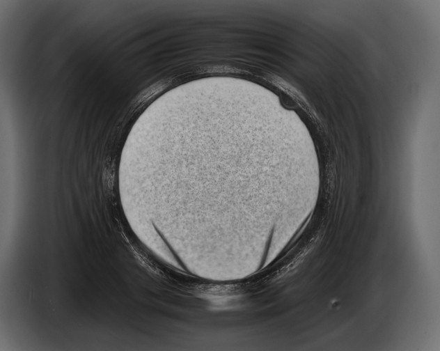 X0000082990841200703020843