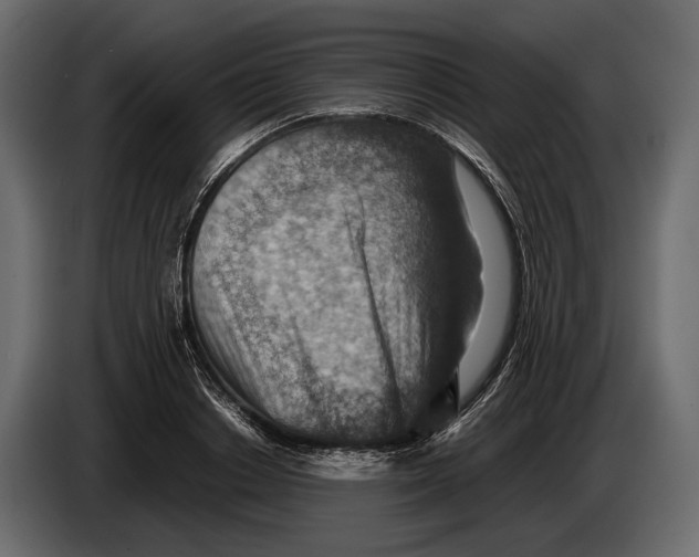 X0000082990842200703020843