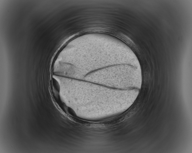 X0000082990844200703020843