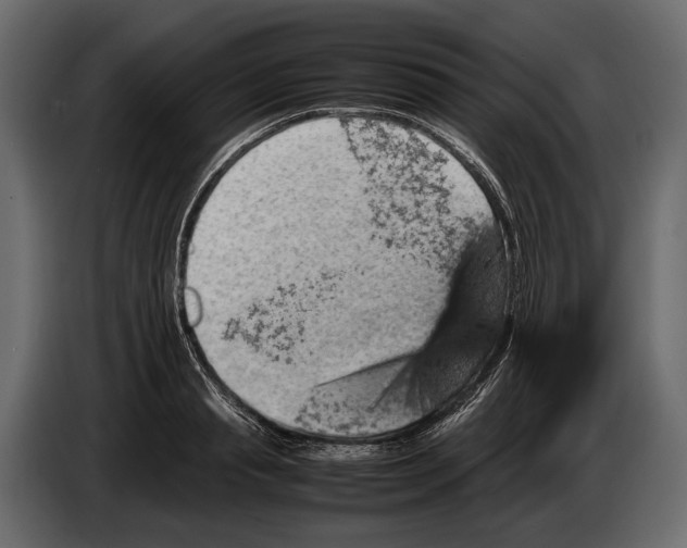 X0000082990845200703020843