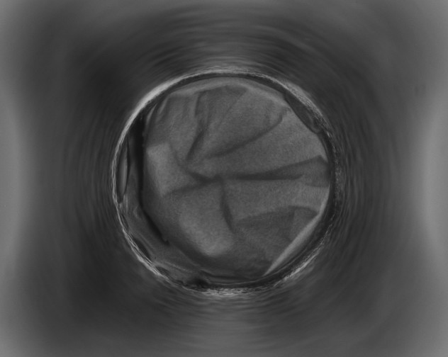 X0000082990846200703020843