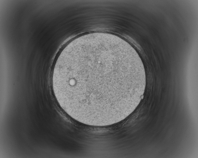 X0000082990848200703020843