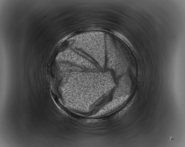 X0000082990849200703020843