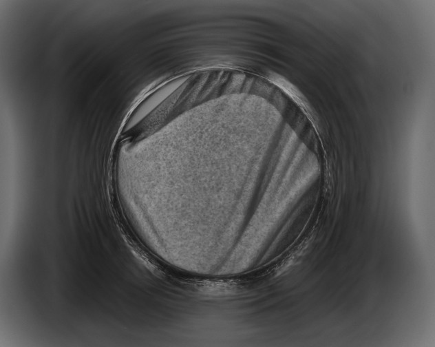 X0000082990850200703020843