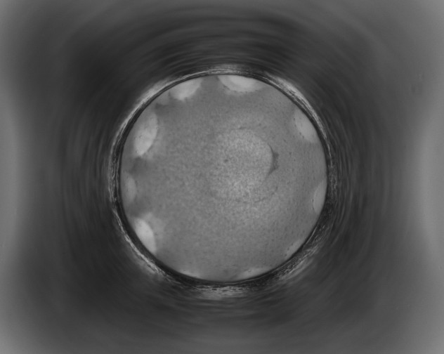 X0000082990851200703020843